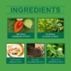 Ashwagandha Foot Patches