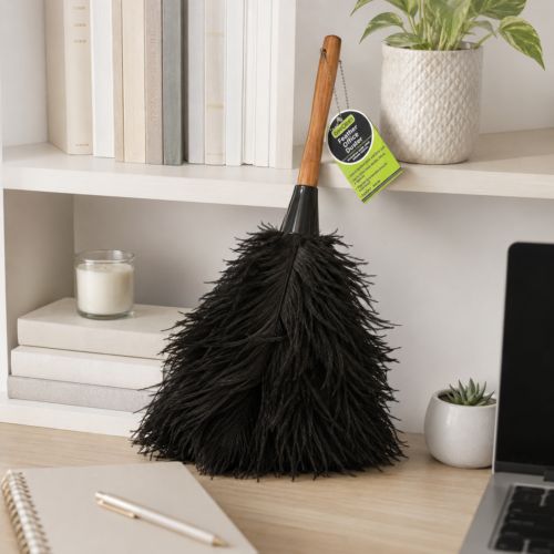 Feather Office Duster